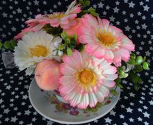 Чашечка гербер