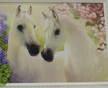 " Белоснежная пара"