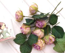 Розы "Леди Бомбастик"