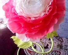 Ростовой цветок "Сказка"