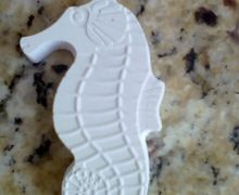 Морской конёк