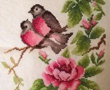 Райские птички