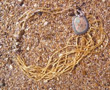 Ожерелье ручной работы "Золотой песок"