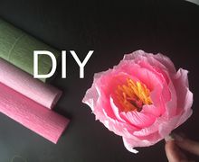 Видео МК - Как сделать пион из гофрированной бумаги