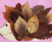 Осенние аппликации из листьев