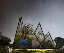 НОЧНИК MOUNTAINS