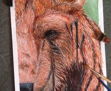 Картина называется " Медведь"