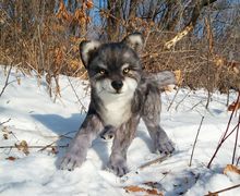 Реалистичный Волк