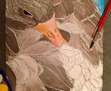 Продаю картины