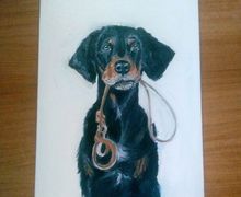 Каждое утро перед глазами...