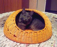 Домик для кошки