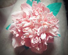 Брошь "Пион"