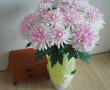 Букет хризантем