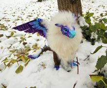 Дракон северной ночи