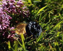 Бальзам для губ