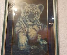 Голубой тигренок