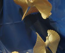 Поступил заказ на "птицу счастья"