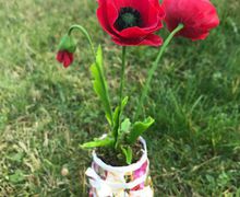 Лепка цветов