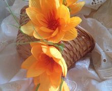 ОБОДКИ И БРОШИ