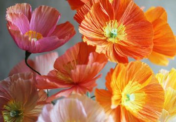 Как сделать бумажные цветы