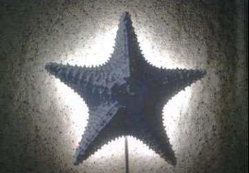 Дизайнерский светильник в форме звезды
