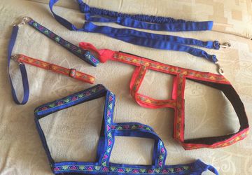 Все для собак