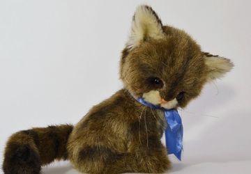 Котенок Васька