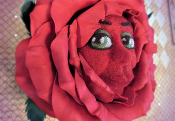 Тётушка Алая роза