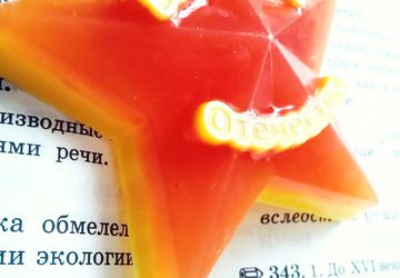 Звезда Защитнику Отечества🌟