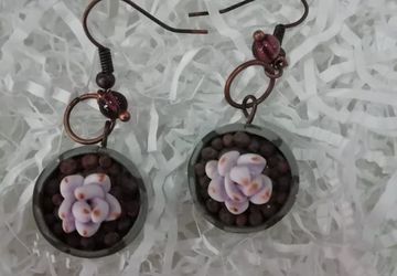 Серьги секуленты