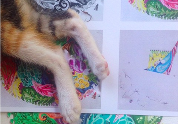 Открытка Zentangle