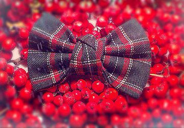 Галстуки-бабочки