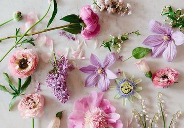 Подготовка гербария - сбор и засушка растений