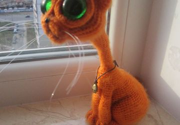 Кот с большими глазами