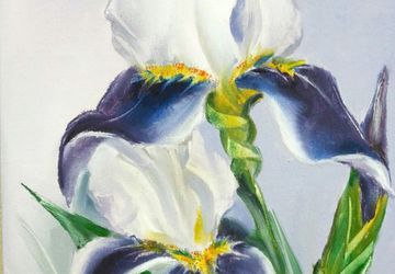 Картина маслом "Воздушные ирисы"  30"40