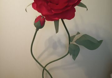 Ростовой пион