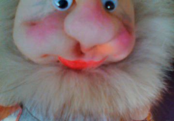 Домовенок  Кузьма