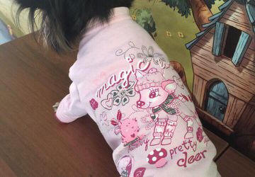 Кофточка для собачки