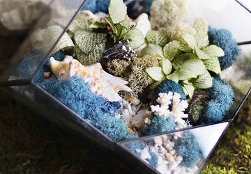 НОЧНИК LIVING OCEAN BLUE