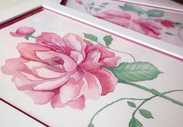 Пион и роза