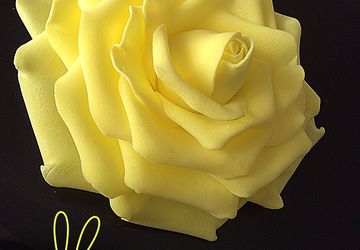 #цветыизфоамирана