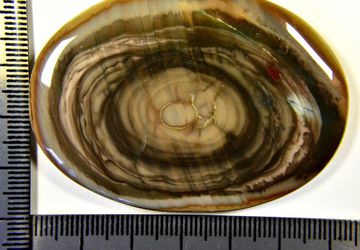 Мексиканская яшма Империал кабошон крупный.