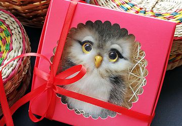 Брошь с совушкой