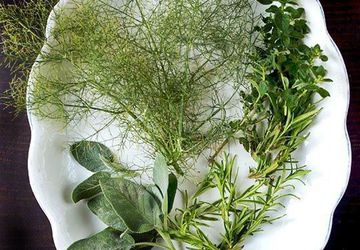 Как сохранить зелень на зиму