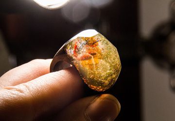 Янтарная осень