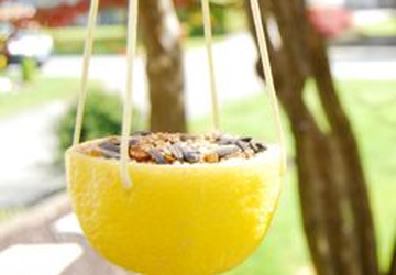 Кормушки для птиц своими руками.