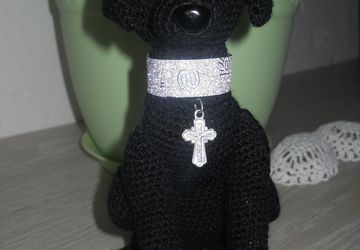 черный лабрадор