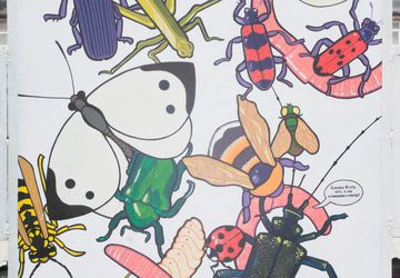 Флаг в руки, выставка уличного искусства