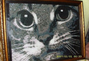 Картина бисером "Котенок"