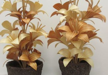 Цветы из дерева.